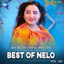 Nelo Jaan - Ma Bozay Khpal Wattan Ta Best of Nelo Vol 1