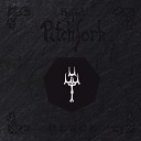 Project Pitchfork - Pitch Black Remix