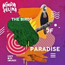 Ninda Felina - The Birds Of Paradise