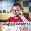 Андрей Ковалев - Степь да воля