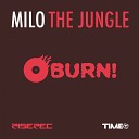 Milo - Jungle of Mirror Original Mix