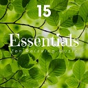 John Zen - Essentials