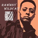 Rawmny Wildcat - Respect My Hustle