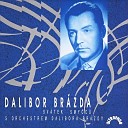 Dalibor Br zda Orchestr Dalibora Br zdy - Love Letters