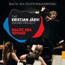 Baltic Sea Youth Philharmonic Orchestra Kristjan J… - The Ring an Orchestral Adventure Br nnhildes…