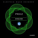 Prkz - Evolved Original Mix