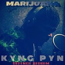 Kyng Pyn - Marijuana Naa Stop Smoke