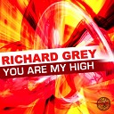 Richard Grey - You Are My High David Jones Remix Edit