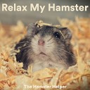 The Hamster Helper - DNA Help for Hamsters