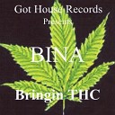 Bina - Miss U Original Mix