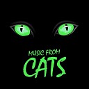 Cats The Musical - Memory