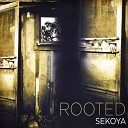 Sekoya - Analyze Me