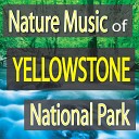 John Story - Campfire Sounds Along Yellowstone River