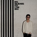 Noel Gallagher s High Flying Birds - The Dying of the Light