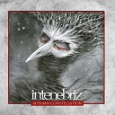 In Tenebriz - She Comes to Me with Silent Rain