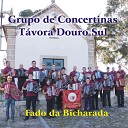 Grupo de Concertinas T vora Douro Sul - Lindo Can rio