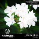 Animal Picnic - She Is Original Mix