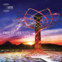 Royal Philharmonic Orchestra Roberto… - Tree of Life Suite