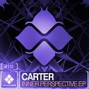 Carter - Never Care Too Much