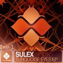 Sulex - Root Original Mix