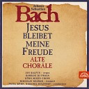 Jan Kalfus - Chorale Preludes No 22 Nun freut euch lieben Christen gmein BWV…