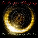 Lo Fi for Sleeping - Warm Around You