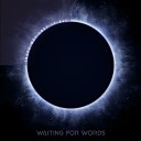 Waiting for Words - Have We Lost It All Shiny Darkness Remix
