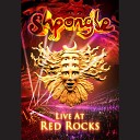 Shpongle - Around the World in a Tea Daze Live