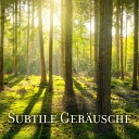 Naturger usche Meditationsmusik - Der Atem des Stadtlebens