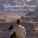 Music for Pets Specialists - Natural Remedies