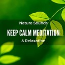 Keep Calm Music Factory - Mystic Experience Concentration Music