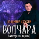 Владимир Курский - Памяти Сергея…