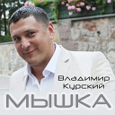 Владимир Курский - Мышка