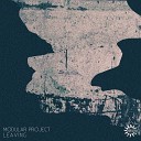 Modular Project - Leaving Kasper B rke Remix