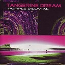 Tangerine Dream - Armageddon In The Rose Garden Part II