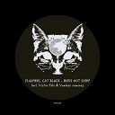 Cat Black Flashers - We Don t Sleep Vanleer Remix