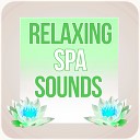 Sauna Spa Paradise - Tai Chai Spa Massage