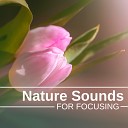 Nature Stickers - Natural Remedies