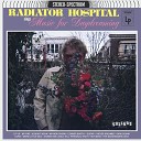 Radiator Hospital - My Fire