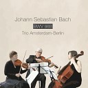 Trio Amsterdam Berlin - Goldberg Variationen BWV 988 Variatio 12 Canone alla…
