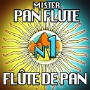 Mister Pan Flute - The Sound of Silence