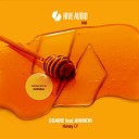 SOAME feat Animor - Honey Dub Version