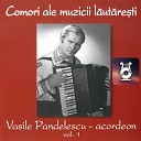 Vasile Pandelescu - Br ul De La Corbii Mari