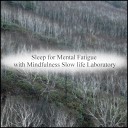 Mindfulness Slow Life Laboratory - Breaking Dawn Self Pleasure Original Mix