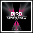 David Globula - Bird Original Mix