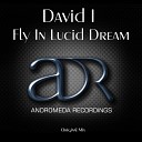 I david - Fly In Lucid Dream Original Mix