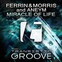 Ferrin Morris Aneym - Miracle Of Life Radio Edit