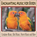 John Story - Parrot Talk Bird Music