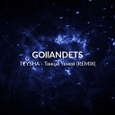 Teysha - Танцы теней Gollandets Remix