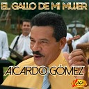 Aicardo Gomez - El Gallo de Mi Mujer